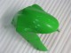 Grün ZX6R 05-06 Verkleidungen & Plastik Grün ZX6R 05-06 Verkleidungen & Plastik