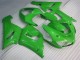 Grün ZX6R 05-06 Verkleidungen & Plastik Grün ZX6R 05-06 Verkleidungen & Plastik
