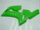 Grün ZX6R 05-06 VollVerkleidungen & Plastik Grün ZX6R 05-06 VollVerkleidungen & Plastik