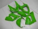 Grün ZX6R 05-06 Vollverkleidung
