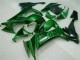 Grüne Flamme ZX10R 08-10 Verkleidungen Grüne Flamme ZX10R 08-10 Verkleidungen