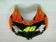 Orange Grün CBR 1000 RR 04-05 Verkleidungen Orange Grün CBR 1000 RR 04-05 Verkleidungen