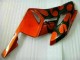 Orange Schwarz CBR 1000 RR 04-05 Verkleidung Orange Schwarz CBR 1000 RR 04-05 Verkleidung