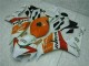 Orange Weiß Repsol CBR 1000 RR 04-05 Verkleidungen Orange Weiß Repsol CBR 1000 RR 04-05 Verkleidungen