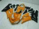 Orange ZX6R 05-06 Verkleidungen Orange ZX6R 05-06 Verkleidungen