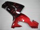 Rot Flamme ZX10R 06-07 Verkleidungen