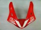 Rot R1 02-03 Vollverkleidung Rot R1 02-03 Vollverkleidung