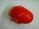 Rot Silber CBR 1000 RR 08-11 Verkleidung Rot Silber CBR 1000 RR 08-11 Verkleidung