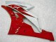 Rot Weiß R6 06-07 Verkleidungen Rot Weiß R6 06-07 Verkleidungen