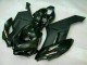Schwarz CBR 1000 RR 04-05 Verkleidung & Plastik Schwarz CBR 1000 RR 04-05 Verkleidung & Plastik