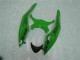 Schwarz Grün ZX6R 09-12 Verkleidungen & Plastik