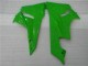 Schwarz Grün ZX6R 09-12 Vollverkleidung Schwarz Grün ZX6R 09-12 Vollverkleidung
