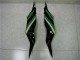 Schwarz Grün ZX6R 13-18 Verkleidungen