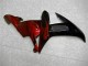 Schwarz R1 02-03 Verkleidungen Plastik Kits