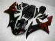 Schwarz R1 02-03 Verkleidungen Plastik Kits