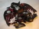 Schwarz rote Flamme GSXR 1300 Hayabusa 96-07 Verkleidung Schwarz rote Flamme GSXR 1300 Hayabusa 96-07 Verkleidung