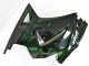 Schwarzer Ninja EX250 08-12 Verkleidungen