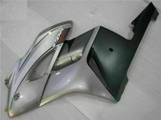Silber CBR 1000 RR 04-05 Verkleidungen