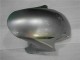 Silber CBR 1000 RR 04-05 Verkleidungen