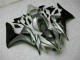 Silber CBR 1000 RR 06-07 Verkleidungen