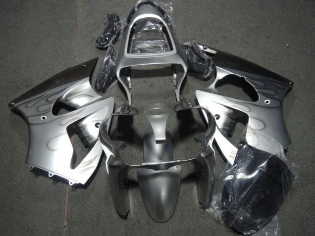 Silber Flamme ZX6R 00-02 Verkleidungen