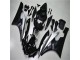 Silber Schwarz R6 06-07 Verkleidung Silber Schwarz R6 06-07 Verkleidung