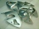 Silber ZX6R 00-02 Verkleidungen