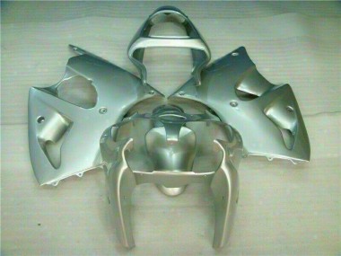 Silber ZX6R 00-02 Verkleidungen