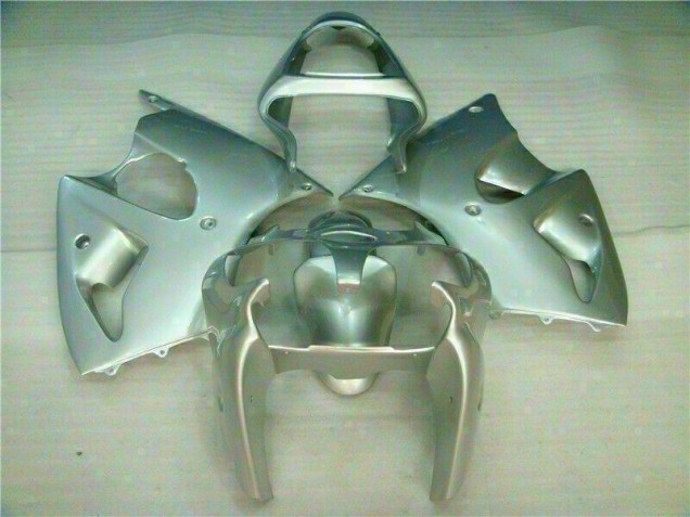 Silber ZX6R 00-02 Verkleidungen