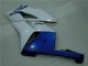 Weiß Blau CBR 1000 RR 04-05 Verkleidung Weiß Blau CBR 1000 RR 04-05 Verkleidung
