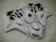 Weiß CBR 1000 RR 04-05 Verkleidung Weiß CBR 1000 RR 04-05 Verkleidung