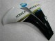 Weiß CBR 1000 RR 08-11 Verkleidung Weiß CBR 1000 RR 08-11 Verkleidung