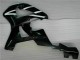 Weiß CBR 900 RR 929RR 00-01 Verkleidungen Weiß CBR 900 RR 929RR 00-01 Verkleidungen